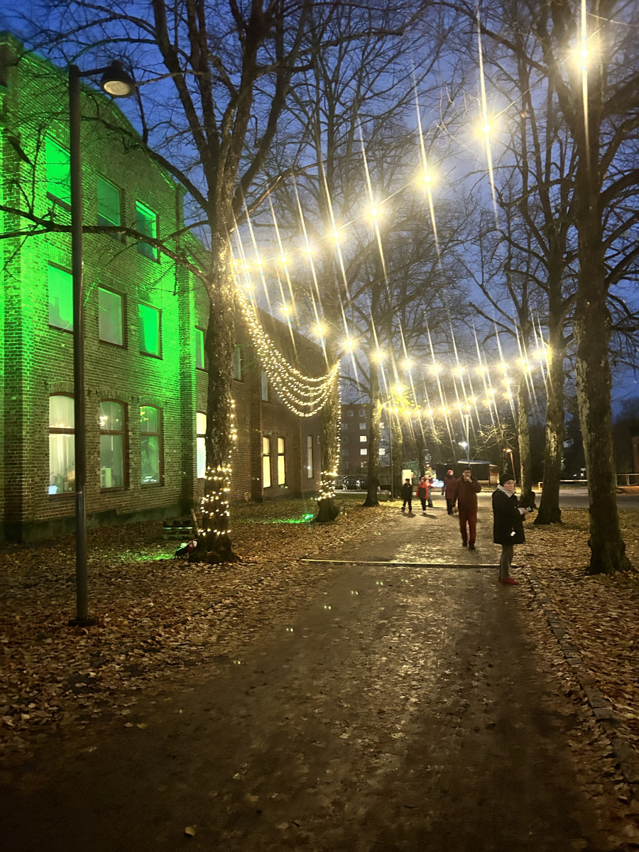 IMG_3700-2